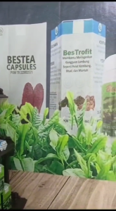 BESTROFIT OBAT HERBAL LAMBUNG
