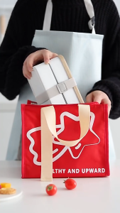 【✅SG stock】Insulation Bag Bento Lunch Box Aluminum Foil Student Worker Rice Ball Bag Cute Portable Lunch Box Outdoor Lunch Bag