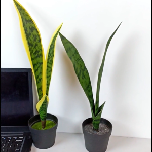 Tanaman Hias Pot Bunga Plastik Lidah Mertua Ornamen Tanaman Artificial Dekorasi Rumah COD PBP43