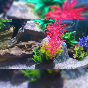 Aquarium Decoration Feather Grass Artificial Plant Ft Kukumi