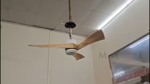 MYKE HC3028  Ceiling Fan (52") (White) (2 yrs Warranty)