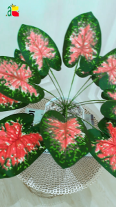 TANAMAN KELADI MERAH B8142 DEKORASI RUMAH ARTIFICIAL