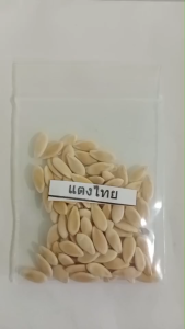 เมล็ดพันธุ์แตงไทย ซองละ 5 บาท