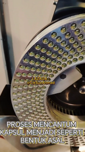 Pegaga Capsule Centella Asiatica Tanpa Campuran Produk Orang Kampung HALAL