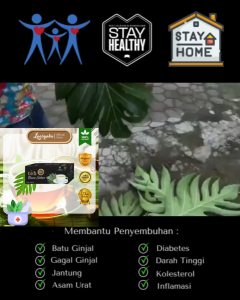 Teh Daun Sukun Premium Laasyaka Untuk Ginjal Jantung Kolesterol Asam Urat Diabetes Darah Tinggi