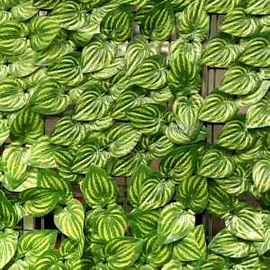 50*300CM Artificial Leaves Hedge Panels: Your Ultimate Guide to Privacy Fencing