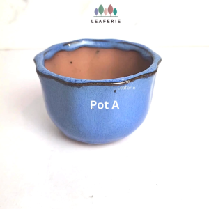 The Leaferie Bonsai Pot (Series 32) . Plant pot . Ceramic . Flowerpot . Succulent Planter. Flower pots