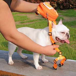 Tas Harness Anjing Dan Kucing 2in1 (Harness + Bag) Cat Pet Harness Leash Small Bag Pocket