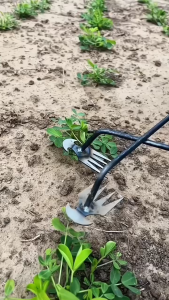 Alat Berkebun Multifungsi: Cara Efektif Mengatasi Gulma di Taman