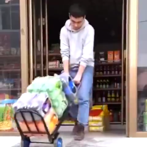 Foldable Trolley Chrome Steel Trolley Troli Pasar Malam Troli Barang Troli Lipat Troli Beroda (FT399)