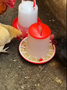 Automatic Chicken Bucket Feeder Chicken Feeder Bucket Plastic Feeding Tool 1.5kg