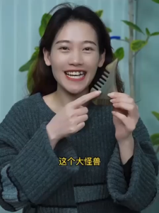 檀木怪兽按摩梳 经络按摩/刮头梳发/穴位按压/多功能设计 Sandalwood Monster Massage Comb Meridian Multifunctional Design