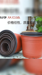 (100/50)pieces/pack dual color seedling pot brick red succulent green plant soft suction plastic flower pot