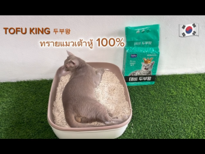 🔥[ส่งฟรี!เคอรี่][20 ลิตร แถมฟรี 1 ลิตร] ทรายแมวเต้าหู้ ธรรมชาติ 100% TOFU KING เกรดพรีเมียม จากเกาหลี [3 ถุง]