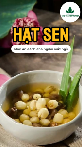 Hạt sen khô 500g hạt sen Huế thơm bở nấu chè hầm canh thơm ngon bổ dưỡng