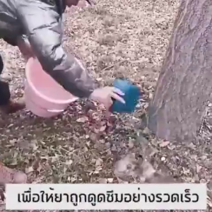 ยาฆ่าตอต้นไม้ 500g สารกำจัดกอไผ่ ผงกำจัดต้นไม้ ยาฆ่าหญ้ ผลติดทนนาน ไม่ทำลายดิน ยากำจัดต้นไผ่ กำจัดกอไผ่ ผงกำจัดต้นไผ่ ยากำจัดวัชพืช สูตรเข้มข้น กำจัดวัชพืชรากเน่า ยาฆ่าห้อง คุณสมบัติของสินค้า