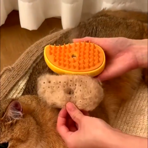 3 In 1 Steam Brush Cat Brush Indoor Cat Hair Removal Dog Steam Brush Massage Pet Grooming