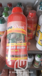 Pupuk KCL Cair Dewa Dewi Nutrisi Pembesar Buah 1 Liter 100% Original
