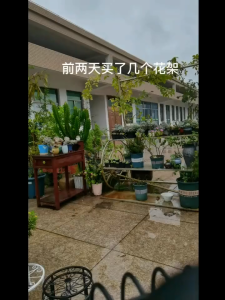 ขาตั้งกระถาง ชั้นวางต้น ชั้นวางกระถางต้นไม้ ทรงกลมลวดลายสวยงามวินเทจ