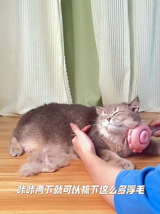 Lược chải lông phun sương có nút bấm gỡ lông cho thú cưng