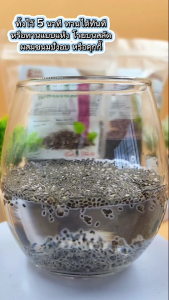 เมล็ดเจีย เมล็ดเชีย มีอย. เกรดAA Chia seed (Organic) ขนาด250กรัม ธัญพืชตัวจิ๋วมากด้วยประโยชน์