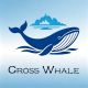 Cross Whale Hub