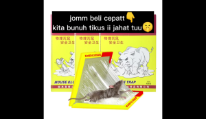 Mouse Catcher Trap Sticky Mice Rodent Glue Board Bait Trap Super Sticky Rat Board