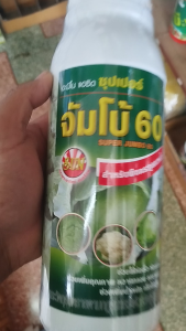สารเร่งห่อ ซุปเปอร์จัมโบ้60 1ลิตร สำหรับกะหล่ำปลีและผักกาดขาวปลี