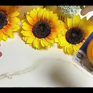 [HCM] Lat Cân Điện Tử Cầm Tay 10kg Có Lò Xo Cân Đo Kỹ Thuật Số Độ Chính Xác Cao Treo Hành Lý Nhà Bếp hye-Randy