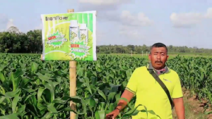 Pupuk Cair Boom Flower Mikro Majemuk Nutrisi Suplemen Tanaman 250 ml 500 ml