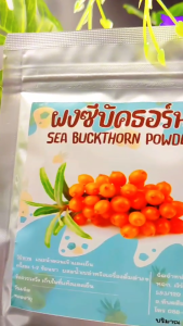 ผงซีบัคธอร์น Sea Buckthorn ขนาด100กรัม ผลไม้สูงสุด 100% มหัศจรรย์ (รมัครสมูรั่ว)