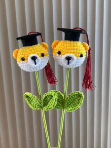 Crochet Doll Graduation Doll Handmade Knitted Artificial Bouquet Birthday Graduation Celebration Bouquet