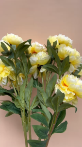 Hoa Mẫu Đơn Màu Cam Pastel Bông To 15cm 2 Bông 1 Nụ/Cành Dài 75cm Cam Kết Giống Thật - Hoa Lụa Trang Trí Nhà Cửa Văn Phòng