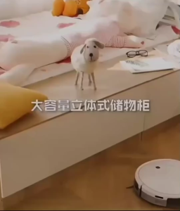 กล่องเก็บของ กล่องใส่ของ กล่องนั่งได้ เก็บของได้ วัสดุเป็นไม้ กล่องเก็บของเล่น สตูลเก็บของ กล่องเก็บของนั่งได้ เก้าอี้เก็บของ เก้าอี้สตูลเก็บของ พร้อมส่ง