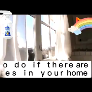 100 Years Without Termites: Odorless 450ml Termite Killer Solution