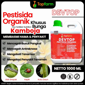 Pupuk & Obat untuk Bunga Kamboja