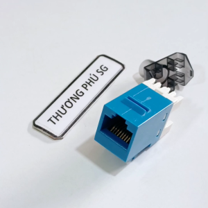 Đầu âm tường RJ45 Cat 6 (Ruột đầu mạng RJ45) / Chuẩn Cat 6 Hiêụ AMP