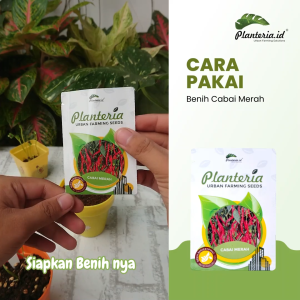 Benih Cabai Kemasan Urbanfarming Bersertifikat 35 butir