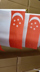 【local wholesale】1000pcs 14x21cm Singapore Waving Hand National flag NDP Plastic Cloth National Day Party Celebration Wave Mini Flag Red White Flag
