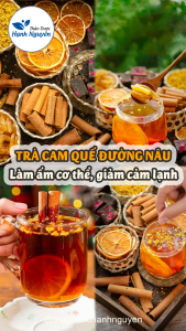 30 set trà đường nâu cam quế làm ấm cơ thể bổ khí huyết giảm đau ngày dâu - Thảo Dược Hạnh Nguyên