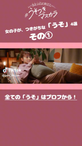 Japan Original PDC Pmel Perfect Long & Curl Mascara