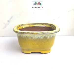 The Leaferie Bonsai Pot (Series 24) rectangular plant pot . Ceramic . Flowerpot . Planter . Rectangle