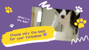 Vitality Valumeal Dry Food for Adult (20kgs)