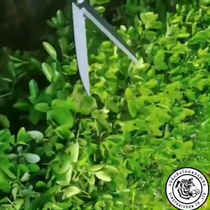 กรรไกรตัดหญ้า ใช้ตัดแต่งต้นไม้ ตัดหญ้า กรรไกร ตัดคม ตัดง่าย ใช้งานได้นาน