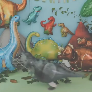 【Ready Stock】Dinosaur Foil Balloon For Jungle Safari Roar Theme Birthday Party Decorations Kids Toys