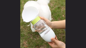 Bình đựng nước và thức ăn đi dạo cho Chó Mèo hình dấu chân (mẫu mới) - Love pets shop