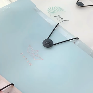 Expending File Holder A4 12 Cells Transparent File Organizer with Botton for Office School