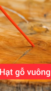 Combo 10 Hạt gỗ khối lập phương loại gỗ mộc tự nhiên Kt 3cm-4cm Thingkids