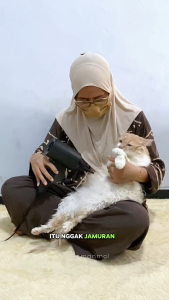 SHAMPOO KUCING ANTI JAMUR DAN KUTU BULU RONTOK WANGI ANTI RONTOK DAN SHAMPO PENUMBUH BULU HAPPY CAT 100ML
