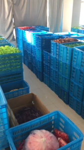 Kalung Kucing Lonceng & Aksesoris Hewan Peliharaan